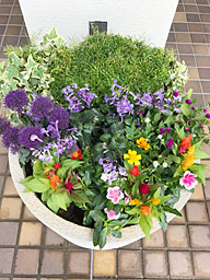 店舗の前やあらゆる場所にお花の寄せ植えレンタル