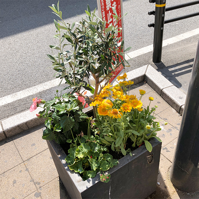 お店の軒先・歩道にある花プランター設置例