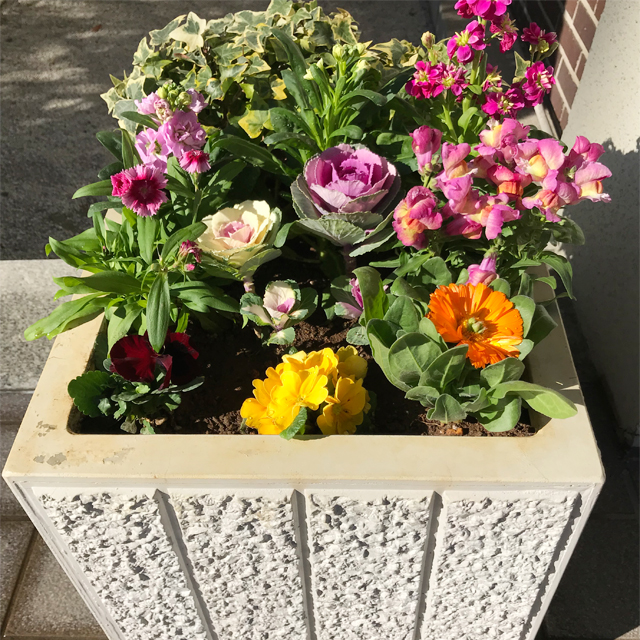 街頭の花壇管理例